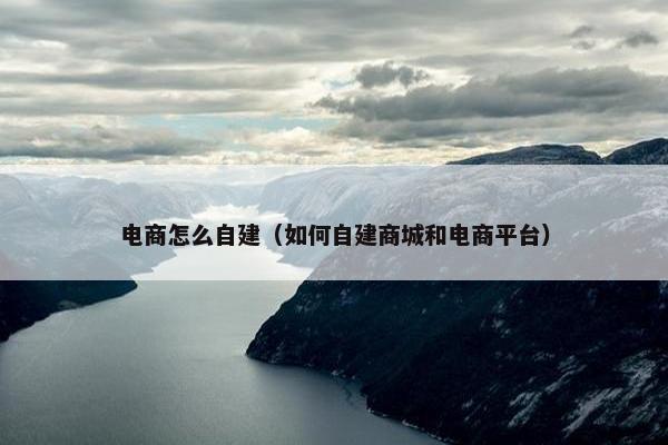 电商怎么自建（如何自建商城和电商平台）