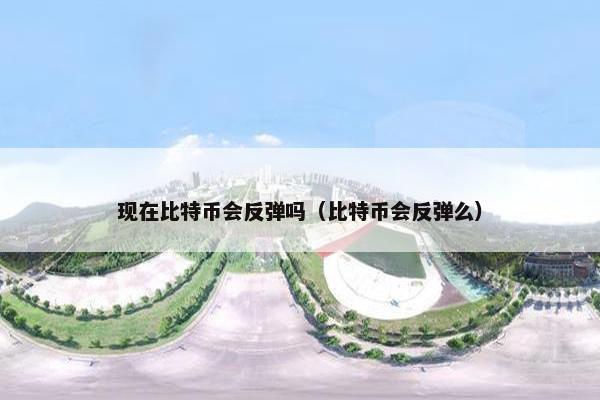 现在比特币会反弹吗（比特币会反弹么）