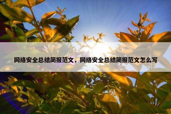 网络安全总结简报范文，网络安全总结简报范文怎么写