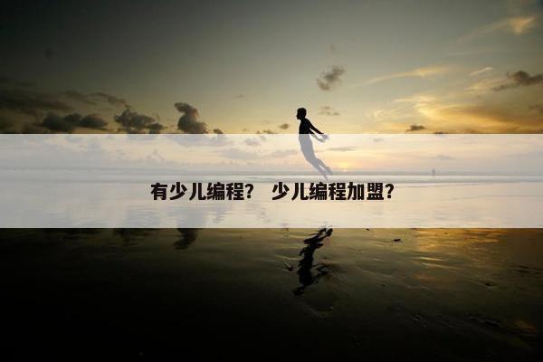 有少儿编程？ 少儿编程加盟？