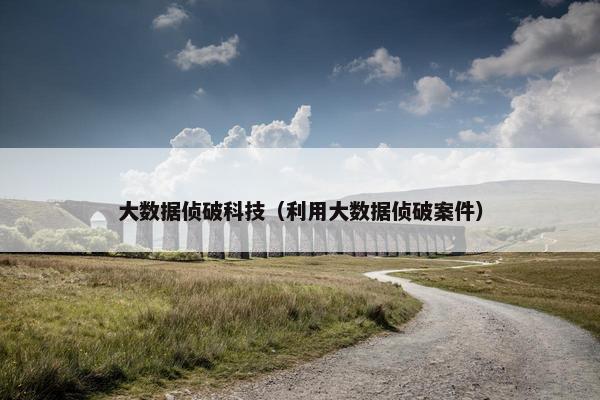 大数据侦破科技（利用大数据侦破案件）