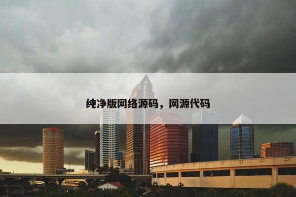 纯净版网络源码，网源代码