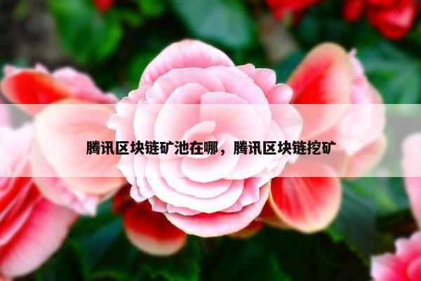 腾讯区块链矿池在哪，腾讯区块链挖矿
