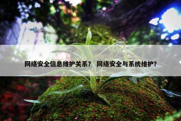 网络安全信息维护关系？ 网络安全与系统维护？