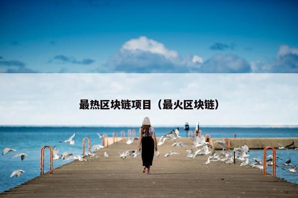 最热区块链项目（最火区块链）