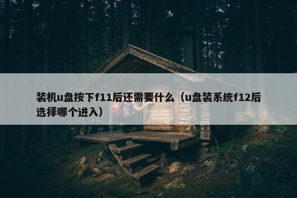 装机u盘按下f11后还需要什么（u盘装系统f12后选择哪个进入）