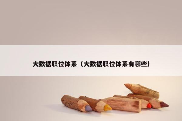 大数据职位体系（大数据职位体系有哪些）