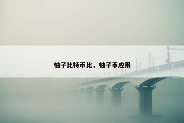 柚子比特币比，柚子币应用