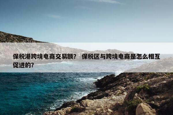保税港跨境电商交易额？ 保税区与跨境电商是怎么相互促进的？