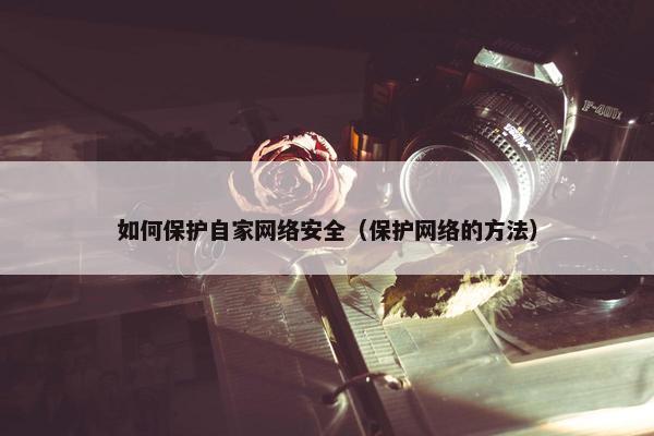 如何保护自家网络安全（保护网络的方法）