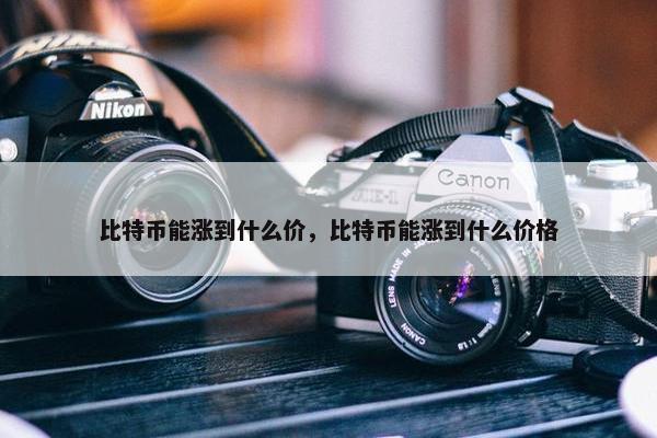 比特币能涨到什么价，比特币能涨到什么价格