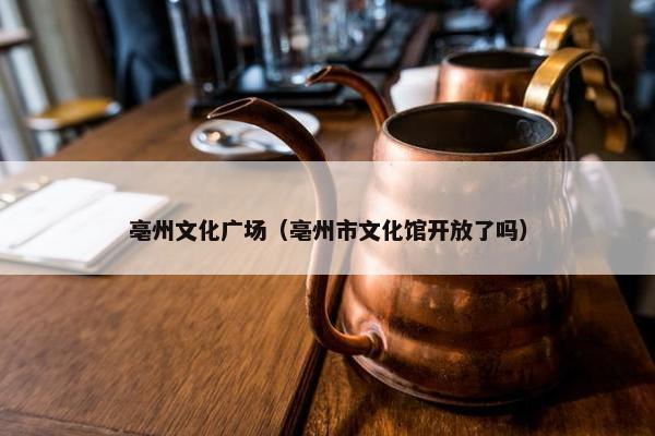 亳州文化广场（亳州市文化馆开放了吗）