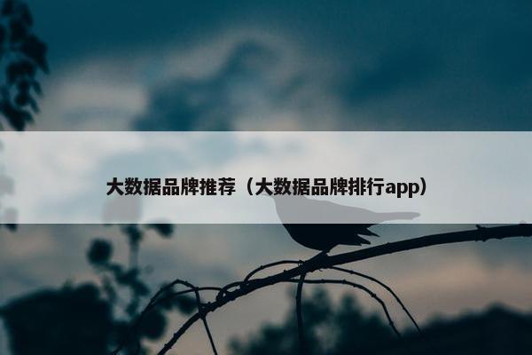 大数据品牌推荐（大数据品牌排行app）