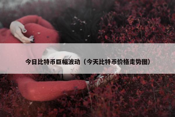 今日比特币巨幅波动（今天比特币价格走势图）