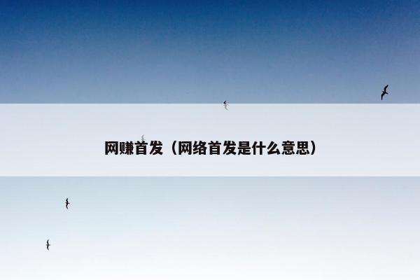 网赚首发（网络首发是什么意思）