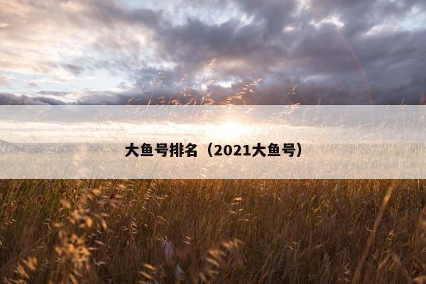 大鱼号排名（2021大鱼号）