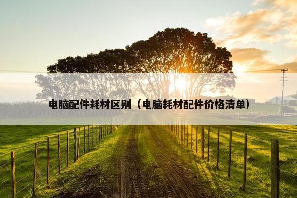 电脑配件耗材区别（电脑耗材配件价格清单）