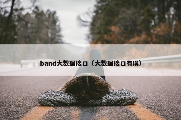 band大数据接口（大数据接口有误）