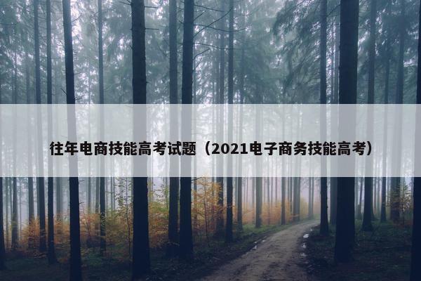 往年电商技能高考试题（2021电子商务技能高考）