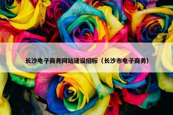 长沙电子商务网站建设招标（长沙市电子商务）