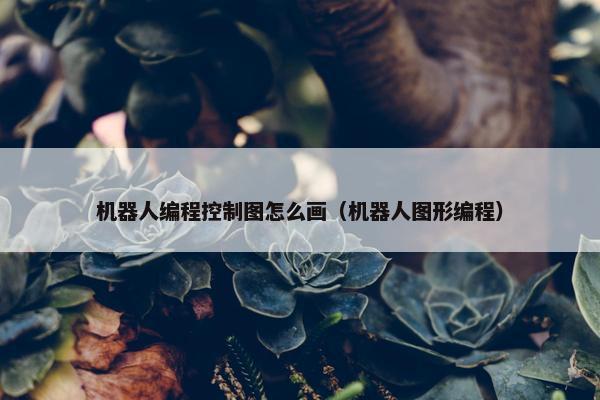 机器人编程控制图怎么画（机器人图形编程）