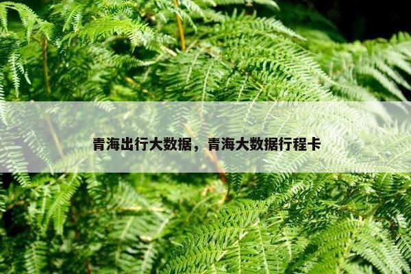 青海出行大数据，青海大数据行程卡