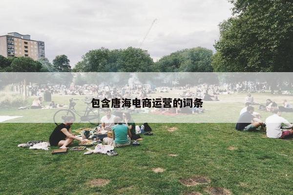 包含唐海电商运营的词条