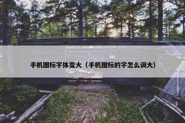 手机图标字体变大（手机图标的字怎么调大）