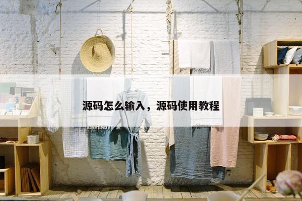 源码怎么输入，源码使用教程