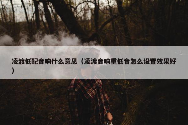 凌渡低配音响什么意思（凌渡音响重低音怎么设置效果好）