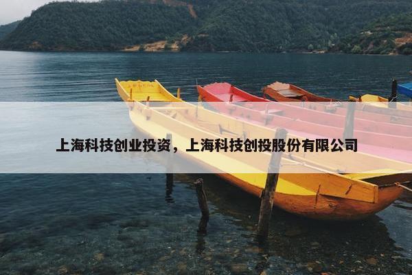 上海科技创业投资，上海科技创投股份有限公司