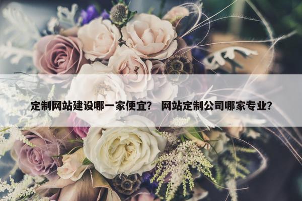 定制网站建设哪一家便宜？ 网站定制公司哪家专业？