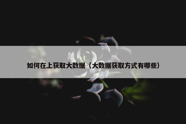 如何在上获取大数据（大数据获取方式有哪些）