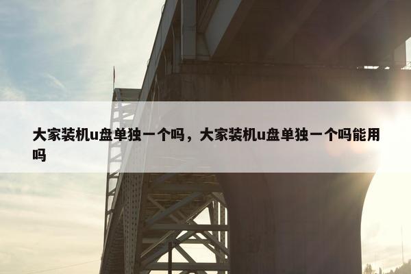 大家装机u盘单独一个吗，大家装机u盘单独一个吗能用吗