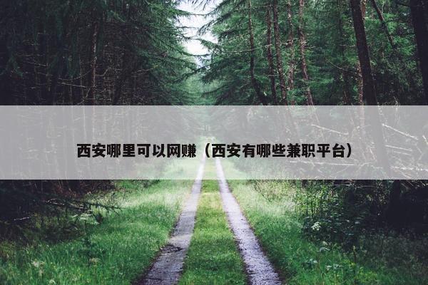 西安哪里可以网赚（西安有哪些兼职平台）
