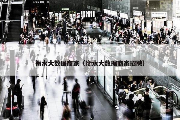 衡水大数据商家（衡水大数据商家招聘）