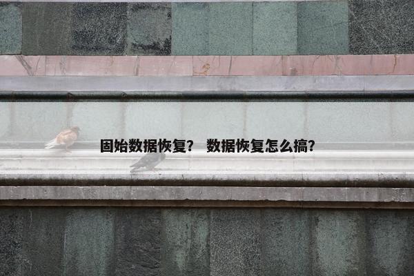 固始数据恢复？ 数据恢复怎么搞？