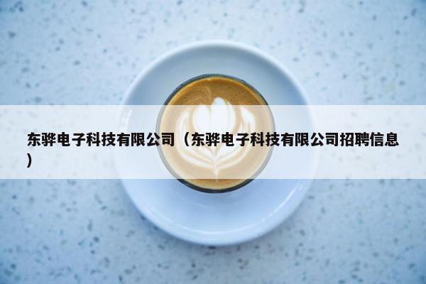 东骅电子科技有限公司（东骅电子科技有限公司招聘信息）