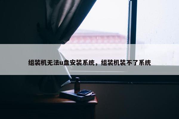 组装机无法u盘安装系统，组装机装不了系统