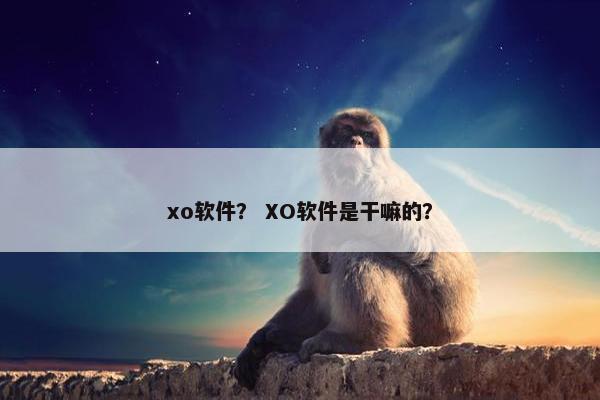 xo软件？ XO软件是干嘛的？