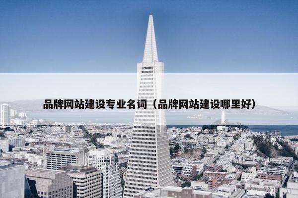 品牌网站建设专业名词（品牌网站建设哪里好）