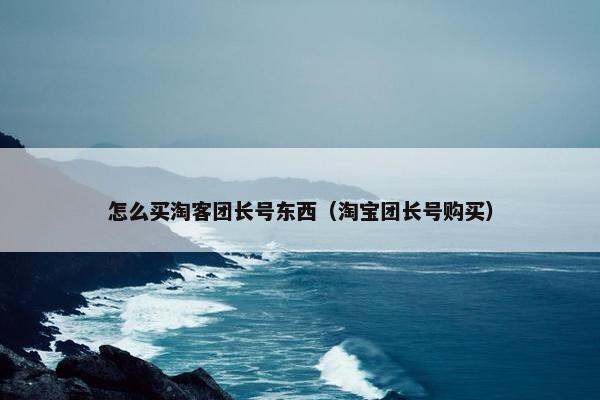 怎么买淘客团长号东西（淘宝团长号购买）