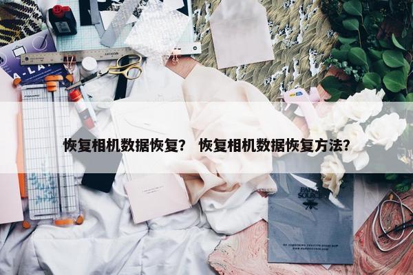 恢复相机数据恢复？ 恢复相机数据恢复方法？