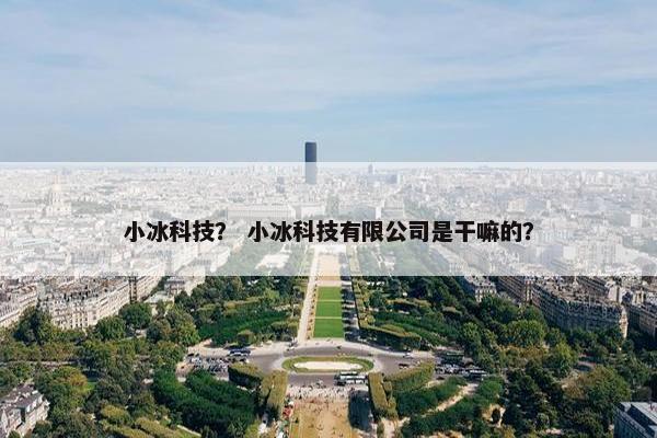 小冰科技？ 小冰科技有限公司是干嘛的？