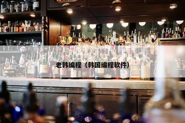 老韩编程（韩国编程软件）