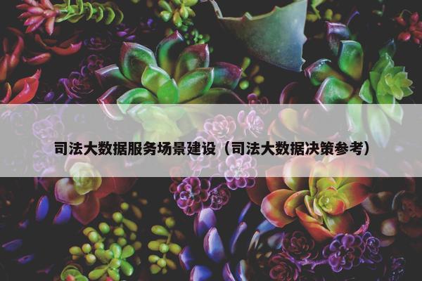 司法大数据服务场景建设（司法大数据决策参考）