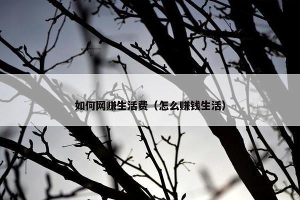 如何网赚生活费（怎么赚钱生活）