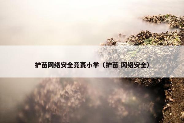 护苗网络安全竞赛小学（护苗 网络安全）