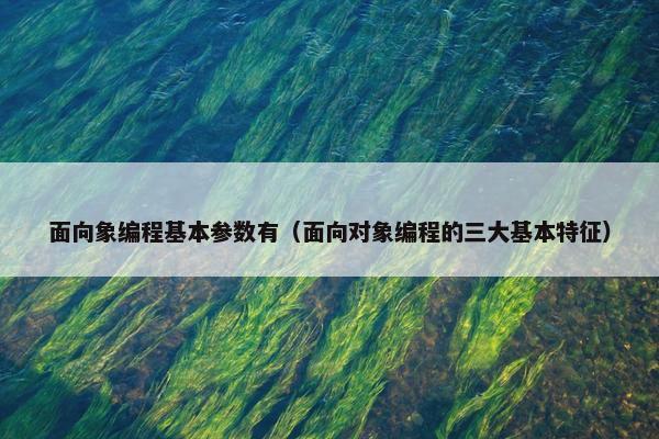 面向象编程基本参数有（面向对象编程的三大基本特征）