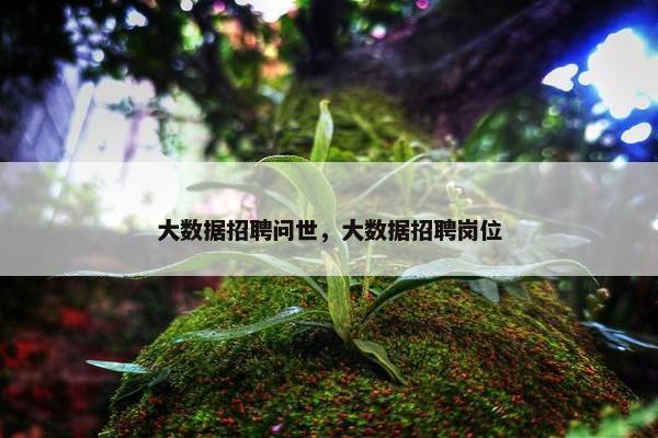 大数据招聘问世，大数据招聘岗位